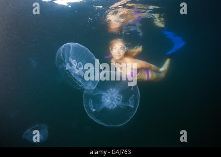 Mond, Quallen und Schnorchler, Aurelia Golden, Raja Ampat, West-Papua, Indonesien Stockfoto