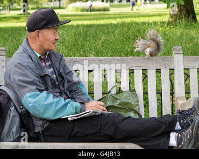 Ein asiatischer Mann ernährt sich ein Eichhörnchen in einem Londoner park Stockfoto