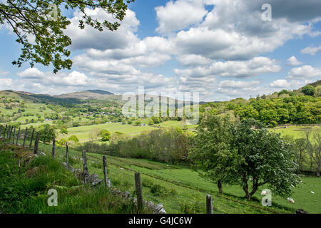 LLanfachreth, Nord-Wales in den Bergen Stockfoto