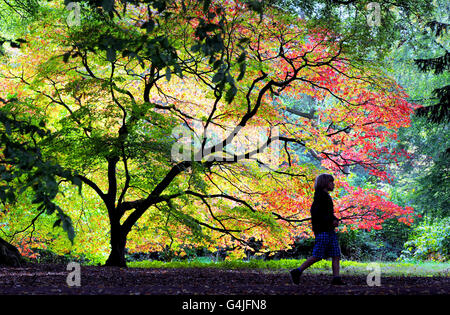 Herbstwetter am 25. September Stockfoto