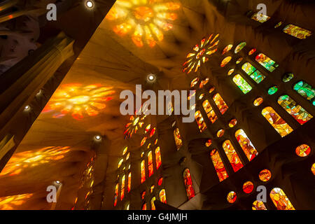 Unglaubliche farbiges Licht füllt Antoni Gaudis Sagrada Família in Barcelona, Spanien. Die Kirche ist ein UNESCO-Weltkulturerbe Stockfoto