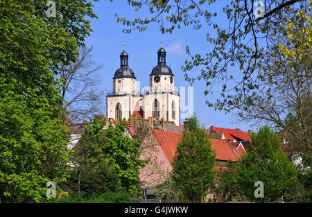 Stadtkirche Wittenberg - Wittenberg in Deutschland, Stadt und Gemeinde Kirche St. Marien Stockfoto