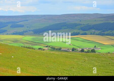 Blick von den Coldstones Schnitt über Nidderdale, einer monumentalen Skulptur aus Kalkstein in der Nähe von Pateley Bridge, North Yorkshire, UK Stockfoto