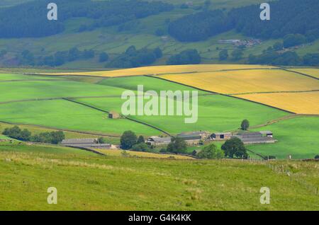 Blick von den Coldstones Schnitt über Nidderdale, einer monumentalen Skulptur aus Kalkstein in der Nähe von Pateley Bridge, North Yorkshire, UK Stockfoto