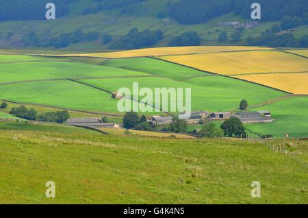 Blick von den Coldstones Schnitt über Nidderdale, einer monumentalen Skulptur aus Kalkstein in der Nähe von Pateley Bridge, North Yorkshire, UK Stockfoto