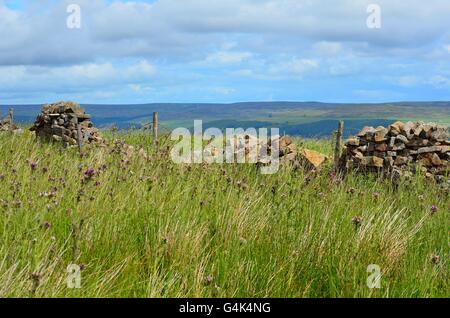 Blick von den Coldstones Schnitt über Nidderdale, einer monumentalen Skulptur aus Kalkstein in der Nähe von Pateley Bridge, North Yorkshire, UK Stockfoto