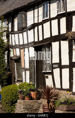 Großbritannien, England, Herefordshire, Pembridge, East Street, mittelalterliche gerahmt am Straßenrand Pilger Holzhaus Stockfoto