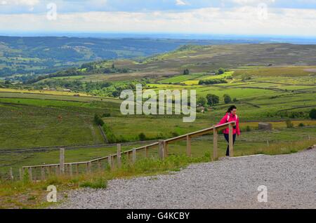 Blick von den Coldstones Schnitt über Nidderdale, einer monumentalen Skulptur aus Kalkstein in der Nähe von Pateley Bridge, North Yorkshire, UK Stockfoto