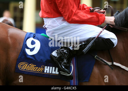 Pferderennen - Ripon Racecourse. William Hill sponserte Satteltuch auf dem Pferd Stockfoto