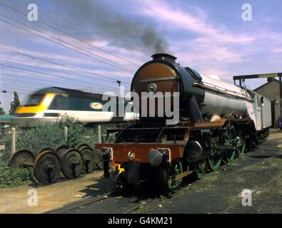 Flying Scotsman/Dampfzug Stockfoto