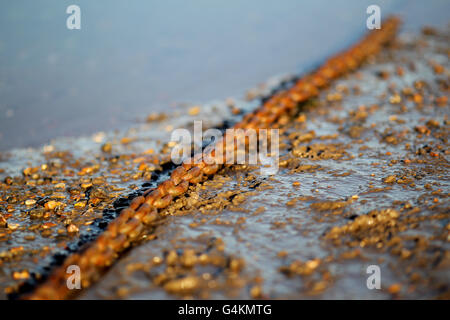 North Norfolk Aussicht auf die Küste - Blakeney Stockfoto