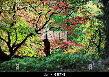 Herbstwetter am 17. Oktober Stockfoto