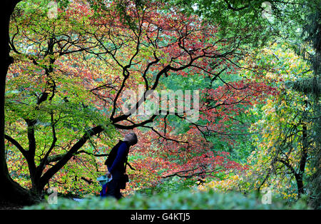 Herbstwetter am 17. Oktober Stockfoto