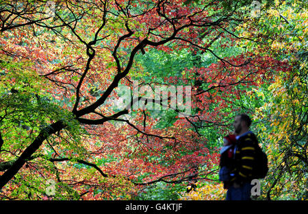 Herbstwetter am 17. Oktober Stockfoto