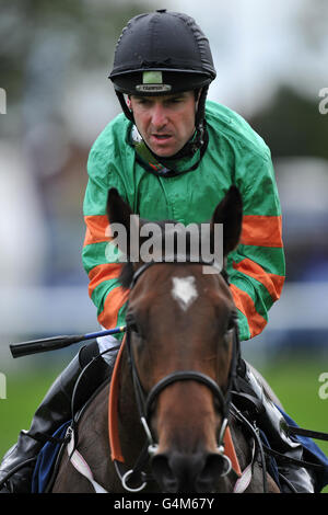 Pferderennen - Ladbrokes St. Leger Festival 2011 - der Welcome to Yorkshire Opening Day - Doncaster Racecourse. Robert Winston, Jockey Stockfoto