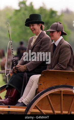 Royal Horse Show/Lady Romsey Stockfoto