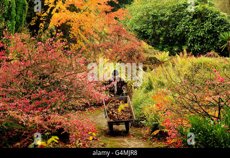 Herbstwetter 2 Nov. Stockfoto