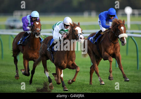 Pferderennen Sie-Nottingham Racecourse Stockfoto