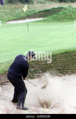 Golf/Wald öffnen 2. Stockfoto