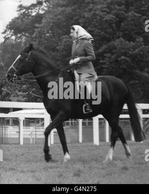 Königin Elisabeth II. Auf der Rennbahn vor der Eröffnung des dritten Tages des Royal Ascot-Treffens. Sie nahm an einem inoffiziellen "Rennen" Teil und wurde Vierter vor anderen Mitgliedern ihrer siebenköpfigsten Gruppe. Stockfoto