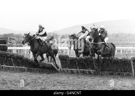 Pferderennen - Champion Hurdle-Challenge-Cup - Cheltenham - 1977 Stockfoto