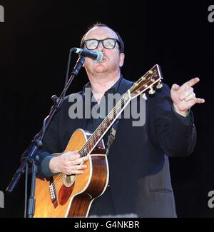 Fleadh/Elvis Costello Stockfoto