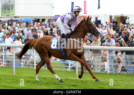 Horse Racing - Ebor Festival 2011 - Juddmonte International - York Racecourse Stockfoto