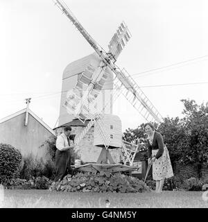 Die Saxtead Green Windmill in Suffolk, mit einer Miniatur-Version in Form eines 80 Jahre alten Modells, um die Firma zu halten. Die Begründung liegt bei Herrn und Frau Stephen Sullivan. Stockfoto