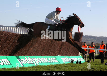 Pferderennen - The Open 2011 - The Open Sunday - Cheltenham Racecourse. Jockey Brian Hughes auf Maggio springt während der Verfolgungsjagd der Independent Newspaper Novices' Stockfoto