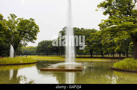 Wasser-Brunnen in Yoyogi Park in Tokio Stockfoto