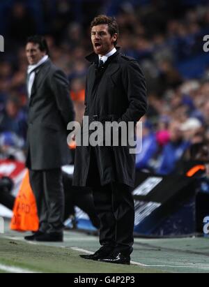 Fußball - UEFA Champions League - Gruppe E - Chelsea gegen Valencia - Stamford Bridge. Chelseas Manager Andre Villas-Boas auf der Touchline Stockfoto