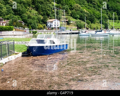 Comer See, Italien. 18. Juni 2016. 18 Juni: Überschwemmung des Comer Sees am Ufer von der Nordwestküste der Länder in Pianello Lario Dongo, Domaso. Nach heftigen Regenfällen ist der See gefüllt Holz, das die kleinen Häfen verstopft. Bildnachweis: Mauro Piccardi/Alamy Live-Nachrichten Stockfoto