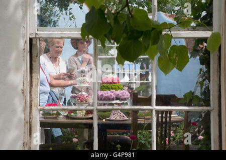 Birmingham, Vereinigtes Königreich. 19. Juni 2016. Der öffentliche Blick auf die verschiedenen Garten zeigt Credit: Steven Reh/Alamy Live News Stockfoto