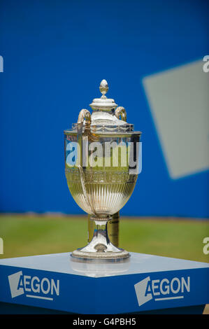 Die Queen's-Club, London UK. 19. Juni 2016. Andy Murray (GBR) gewinnt seinen 5. Titel bei den Aegon Championships in London. Bildnachweis: Sportsimages/Alamy Live-Nachrichten. Stockfoto