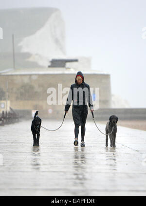 Seaford, East Sussex, UK. 20. Juni 2016. Dogwalker trotzen starkem Regen und Wind am Strand von Seaford während einer sehr nassen Sommer-Sonnenwende. Bildnachweis: Peter Cripps/Alamy Live-Nachrichten Stockfoto