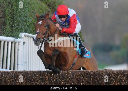 Pferderennen - Tingle Creek Christmas Festival - Erster Tag - Sandown Park. Golan Way von Marc Goldstein gewinnt den Sportingbet Future Stars Chase vor Benbane Head mit Alain Cawley (rechts) Stockfoto