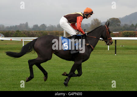 Pferderennen Sie-Ludlow Rennbahn Stockfoto