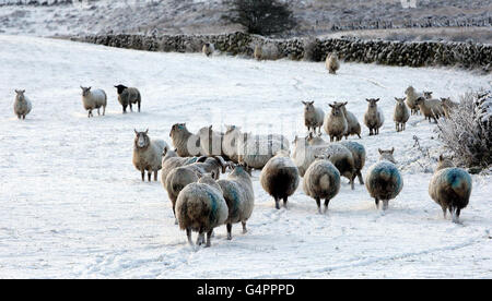 Winterwetter - 5. Dezember Stockfoto