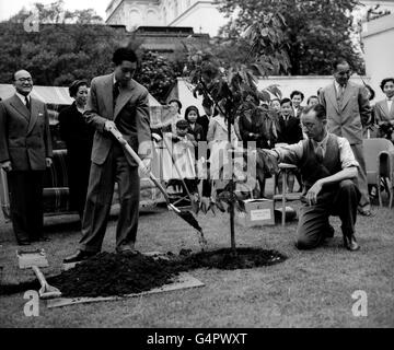 Kronprinz Akihito von Japan pflanzt einen Kirschbaum im Garten der Residenz des japanischen Botschafters in Kensington Palace Gardens, London. Der Baum erinnert an den Besuch des Prinzen in Großbritannien Foor die Krönung Stockfoto