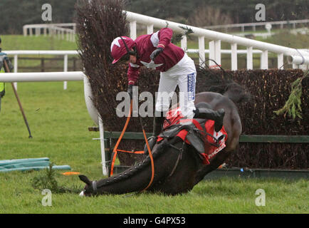 ROI Du Mee geritten von Nina Carberry fällt am letzten während der John Durkan Memorial Punchestown Chase während John Durkan Memorial Chase Day in Punchestown Racecourse, Naas. Stockfoto