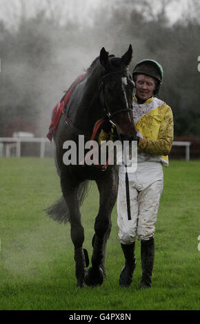 Milan Nua und Jockey Eddie Power kehren nach einem Sturz in den Ladbrokes in die Ställe zurück und unterstützen Longford GAA Beginners Steeplechase während des John Durkan Memorial Chase Day auf der Punchestown Racecourse, Naas. Stockfoto