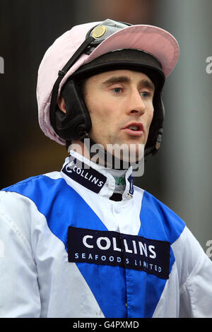 Racing - John Smith Raceday - Sedgefield Rennbahn Stockfoto