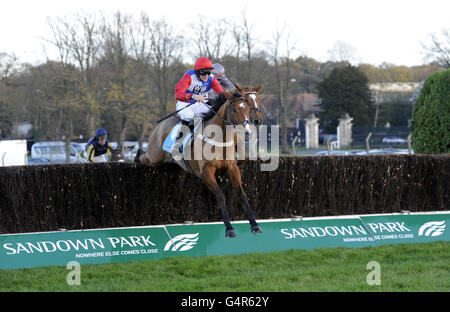 Pferderennen - Tingle Creek Christmas Festival - Erster Tag - Sandown Park. Golan Way, geritten von Marc Goldstein, springt einen Zaun auf dem Weg zum Sieg der Sportingbet Future Stars Chase Stockfoto