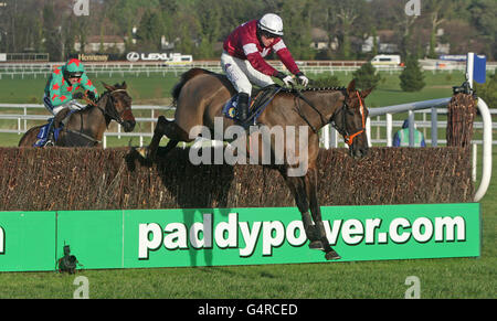 Horse Racing - 2011 Christmas Festival - Lexus Chase Tag - Leopardstown Racecourse Stockfoto