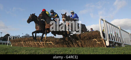 Läufer und Reiter in der Mongey Communications Novice Handicap Hürde während des Weihnachtsfestivals auf der Leopardstown Racecourse, Dublin, Irland. Stockfoto