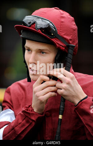 Pferderennen - Betfair Chase Raceday - Haydock Park Racecourse. James Reveley, Jockey Stockfoto