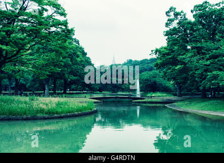 Wasser-Brunnen in Yoyogi Park in Tokio Stockfoto