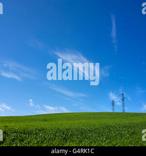 Strommasten in Landschaft, Auvergne, Frankreich Stockfoto