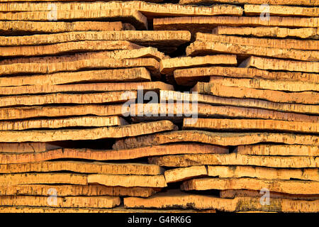 Schneiden Sie die Rinde der Korkeiche (Quercus Suber), Kork Fabrik Novacortiça, São Brás de Alportel, Distrikt Faro, Portugal Stockfoto