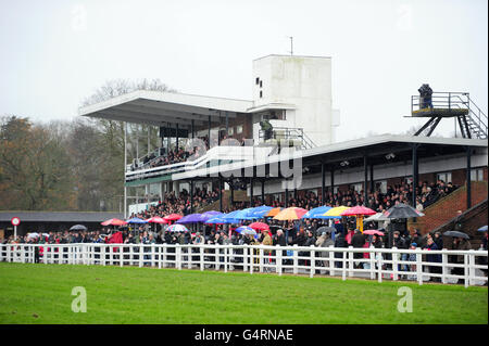 Pferderennen - Christmas Raceday - Plumpton Racecourse. Eine allgemeine Ansicht der Tribüne und der Einrichtungen auf der Plumpton Racecourse Stockfoto